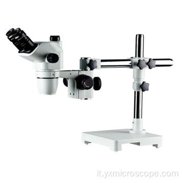 Campo largo C Monte Trinoculare Pratica chirurgica Microscopio